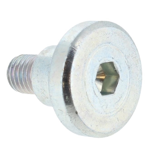 Picture of Skrūve Bosch 160343507R