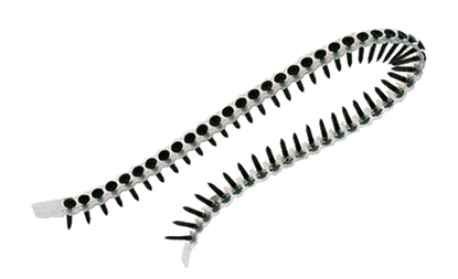 Picture of Skrūves lentēs DeWalt DWF4100550; 3,5x55 mm; 1000 gab.