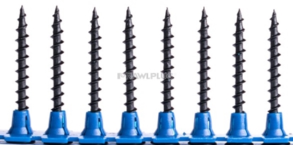 Picture of Skrūves lentēs RawlPlug R-FTC-3555; 3.5x55 mm; 1000 gab.