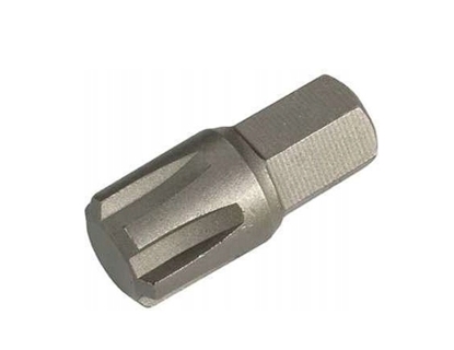 Picture of Skrūvgriežu uzgalis Condor Werkzeug C18055/13; M13; 40 mm