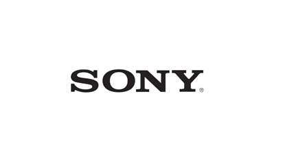 Attēls no Sony Ear Piece (S), Noise Isolation