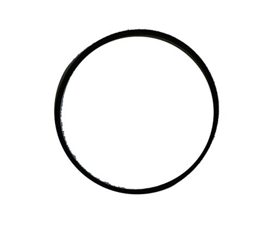 Picture of Starplika Briggs&Stratton 693981; 1 gab.