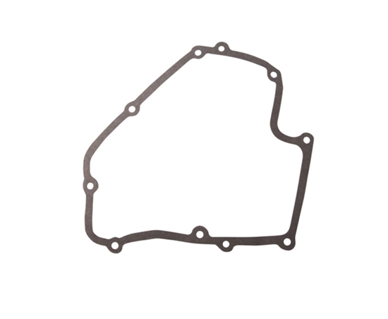 Picture of Starplika Briggs&Stratton 793445; 1 gab.