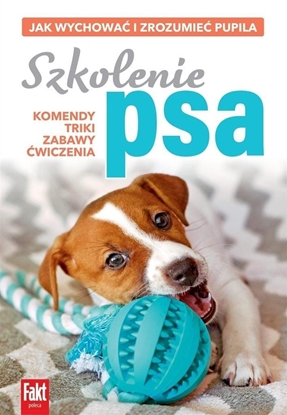 Picture of Szkolenie psa