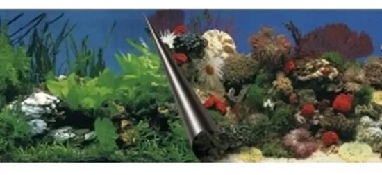 Picture of To do akwarium, skay/rafa koralowa, 60x30x cm