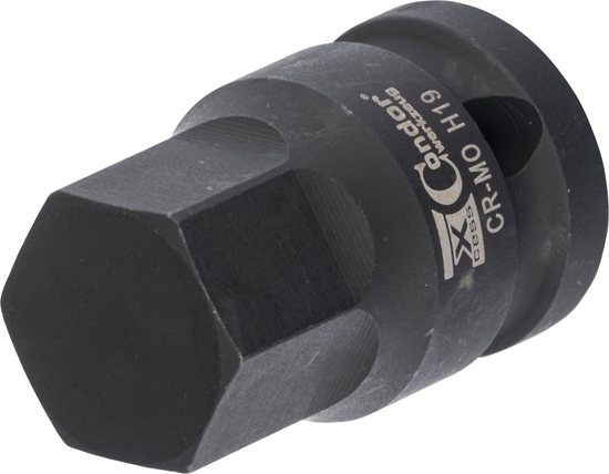 Picture of Triecienskrūvgrieža uzgalis Condor Werkzeug C12022/K19; 1/2''; HEX 19; 40 mm