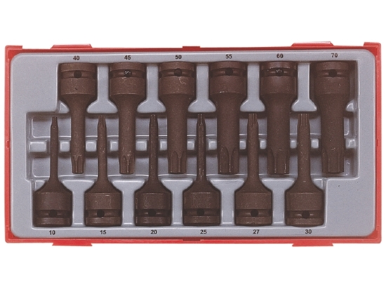 Picture of Triecienuzgaļu komplekts  Teng Tools TT9212TX; 12 gab.