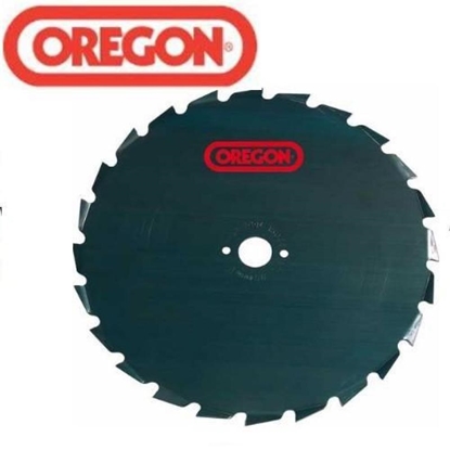 Изображение Trimmera disks Oregon 110972; 200x20,0 mm; Z22