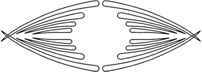 Изображение Veidne grebšanai CMT RCS-507
