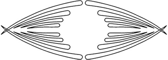 Изображение Veidne grebšanai CMT RCS-507