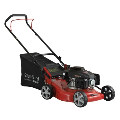 Picture of Zāles pļāvējs Blue Bird Taurus L46; benzīna