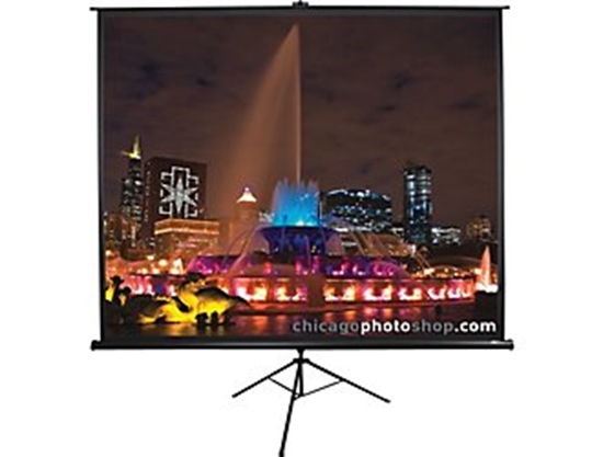 Picture of Elite Screens | Tripod Series | T113UWS1 | Diagonal 113 " | 1:1 | Viewable screen width (W) 203 cm | Black