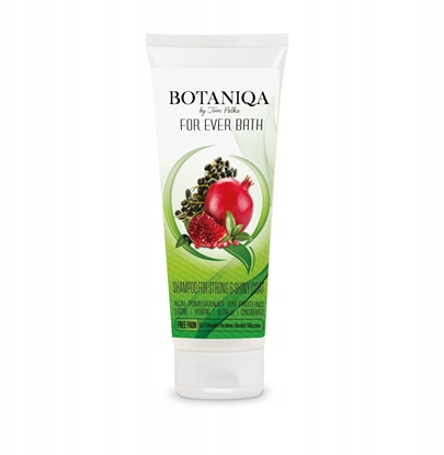 Picture of BOTANIQA BY TOM PALKA SHAMPOO 250ml FOR   EVER BATH