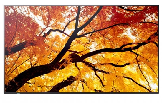 Picture of Monitor NEC Ekran MultiSync M502