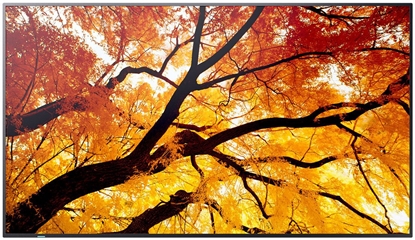 Изображение Monitor Sharp Monitor Videowall 60006058 4K Ultra HD 86"