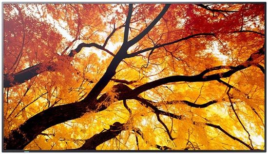 Изображение Monitor Sharp Monitor Videowall 60006058 4K Ultra HD 86"