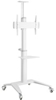 Picture of Monitora stiprinājums Gembird Aluminum TV Floor Stand  with Caster Wheels White