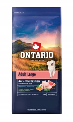 Attēls no ONTARIO Ontario Adult Large ryba & Brown ry 12kg