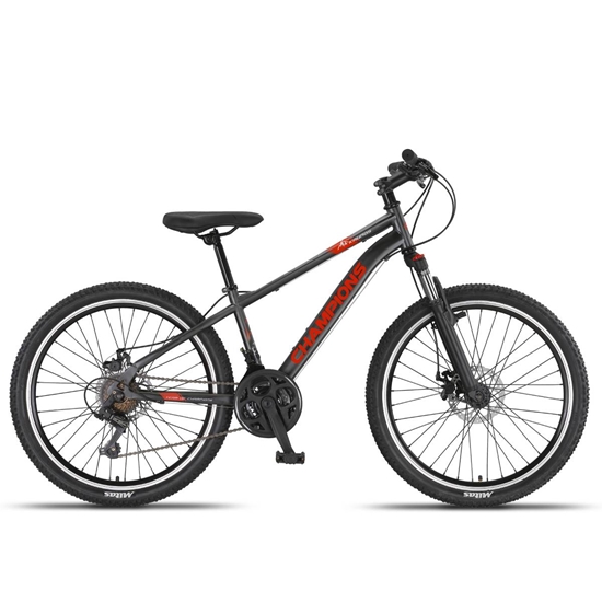 Picture of Pusaudžu velosipēds Champions 24 Kaunos DB Anthracite (Rata izmērs: 24 Rāmja izmērs: 13 )