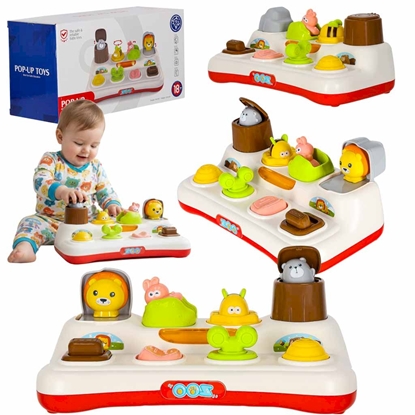 Picture of RoGer Pop‑up Educational Toy