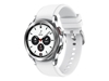 Изображение Samsung Galaxy Watch 4 Classic 42mm BT R880 Silver
