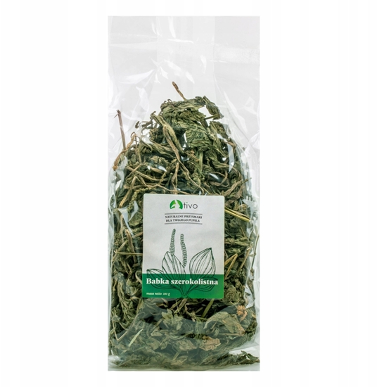 Picture of TIVO ZIOA  BABKA SZEROKOLISTNA XXL        400g    / 16