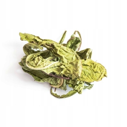 Изображение TIVO ZIOA  LI MNISZKA LEKARSKIEGO XXL    600g    / 12