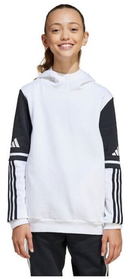 Picture of Adidas Bluza SQUADRA 25 Sweat Hoody JD4807