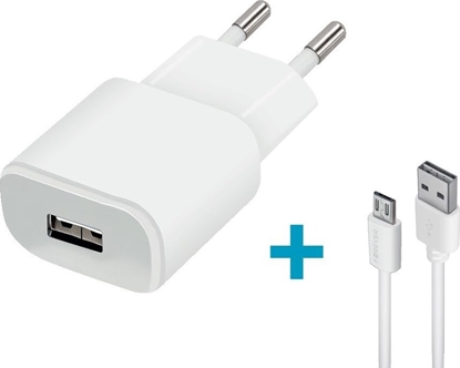 Изображение adowarka Forever TC-01 1x USB-A 2 A (68077)