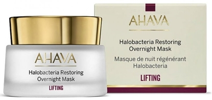 Изображение Ahava Halobacteria Restoring Overnight Mask 50 ml