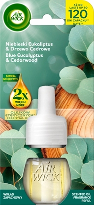 Изображение AIR WICK Essential Oils Wkad do elektrycznego odwieacza powietrza Niebieski Eukaliptus i Drzewo Cedrowe 19 ml