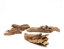 Picture of AquaNatura Aqua Natura, wooden fossil rock, Wood Fossil, do akwarium/ terrarium