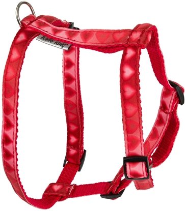 Picture of Barry King Szelki Love Heart, 16mm/szyja 20-50cm, brzuch 40-60cm, czerwony w serca