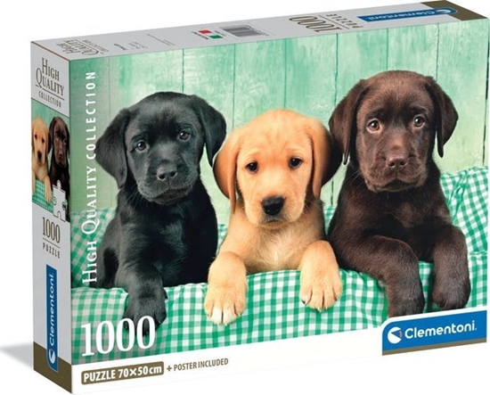 Picture of Clementoni Puzzle Compact Three Labs 1000 elementów (39946)