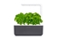 Picture of Click & Grow Smart Garden 3 dark grey