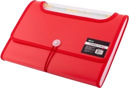 Изображение D.Rect Teczka A4 12 przegródek czerwona