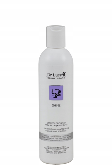 Picture of DR LUCY SZAMPON ODYWCZY SHINE 250 ML