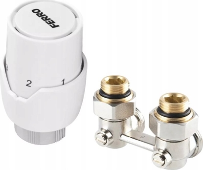 Attēls no Ferro ZTV21 ZESTAW TERMOSTAT. KTOWY DO GRZ.DOLN.Z GOW.GT20 // G.Z.PAKIET-KT-1/2-FER-DOL-GT20