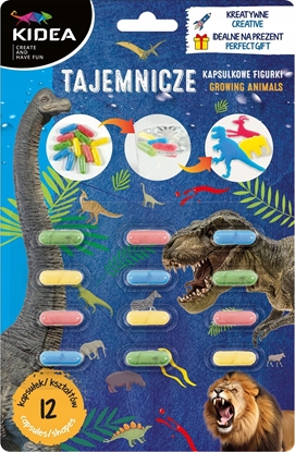 Picture of Figurka Derform KAPSULKOWE ZWIERZAKI TAJEMNICZE 12SZT DERF B/C