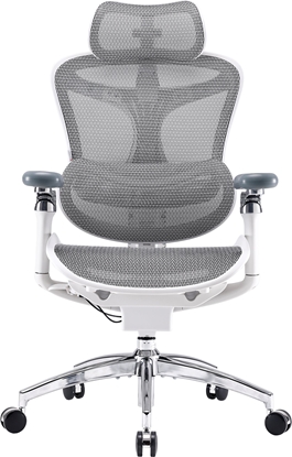 Attēls no Fotel biurowy Sihoo DORO C300 Pro Mesh White