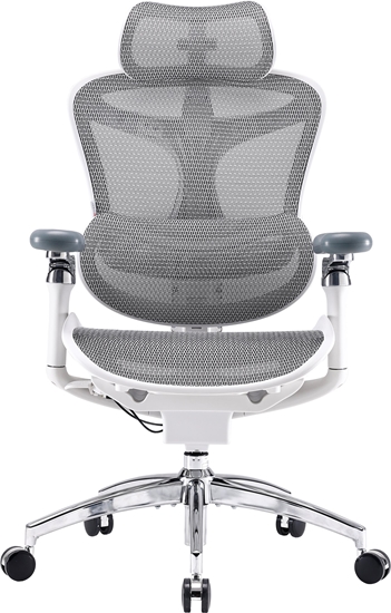 Picture of Fotel biurowy Sihoo DORO C300 Pro Mesh White