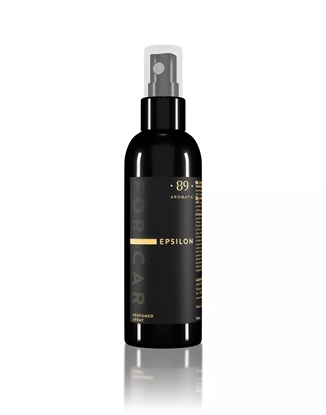 Picture of Italscent Aromatic89 Epsilon 100 ml - Aerosol smarowy do samochodu 4779056064767 (4779056064767)