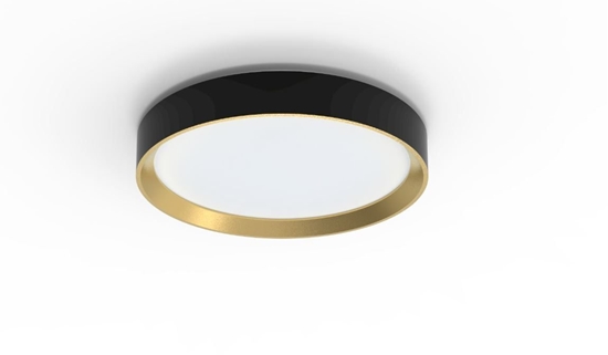Picture of Philips Ceiling Light 24W, LED, IP20, Black, Gold