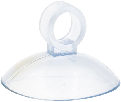Picture of Przyssawka do akwarium, przezroczysta, 28×16 mm, r. 6,5 cm 50szt./op.