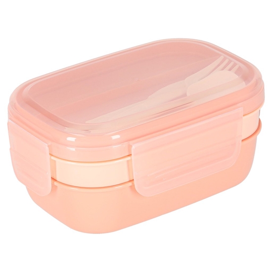Picture of RoGer Food Container with Compartments 1.9L