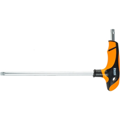 Attēls no Seškanšu atslēga Richmann C6690; T10