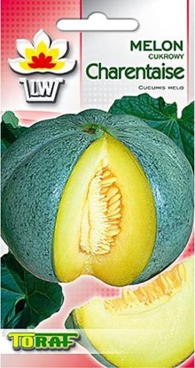 Picture of Toraf Melon Charentaise nasiona warzyw 3g TORAF