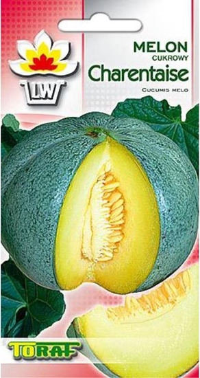 Изображение Toraf Melon Charentaise nasiona warzyw 3g TORAF