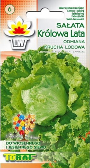 Picture of Toraf TORAF WARZYWA Salata Królowa Lata nasiona 1g