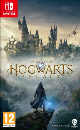 Изображение WB Games Hogwarts Legacy Nintendo Switch - Gry 5051892238601 (5051892238601)